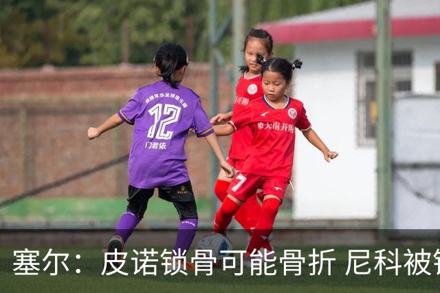 塞尔：皮诺锁骨可能骨折 尼科被铲伤可能提前结束世界杯之旅