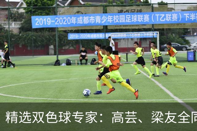精选双色球专家：高芸、梁友全同中二等279万！