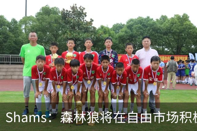 Shams：森林狼将在自由市场积极补强4号位 但他们只能提供底薪